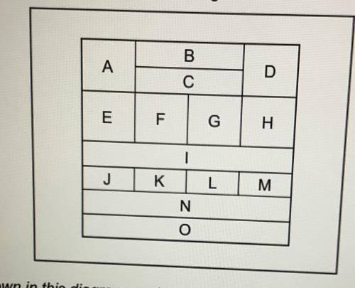 How many rows and columns are in this table?