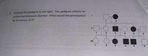 Need help with this biology pedigree question.