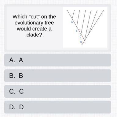 Which cut on the evolutionary tree would create a clade?

A, B, C, D
(See photo for example)