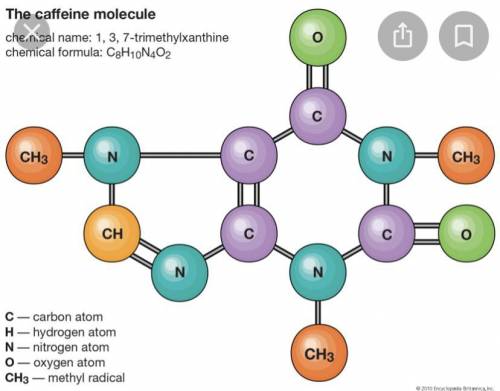 What the study of Molecules?