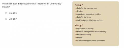 Pls help, Which list does not describe what Jacksonian Democracy meant?