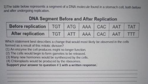 The table below represents a segment of a DNA molecule found in the stomach cell both four and afte