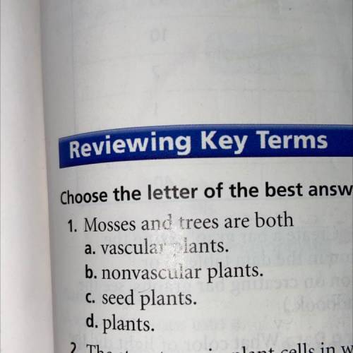 Mosses and trees are both what?