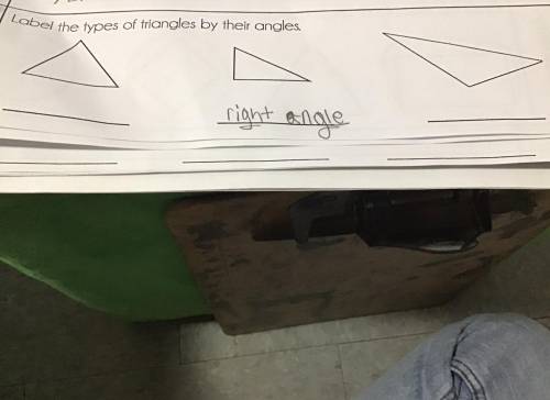 Label the types of triangles by angles.