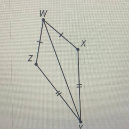 1) Can she now conclude that diagonal WY bisects angles ZWX and ZYX?

Mai now learns that WXYZ is