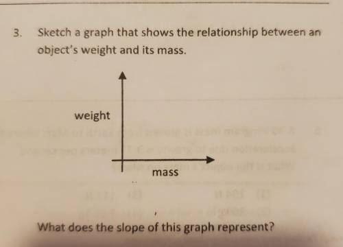 3 . Sketch a graph that shows the relationship between an object's weight and its mass. What does t