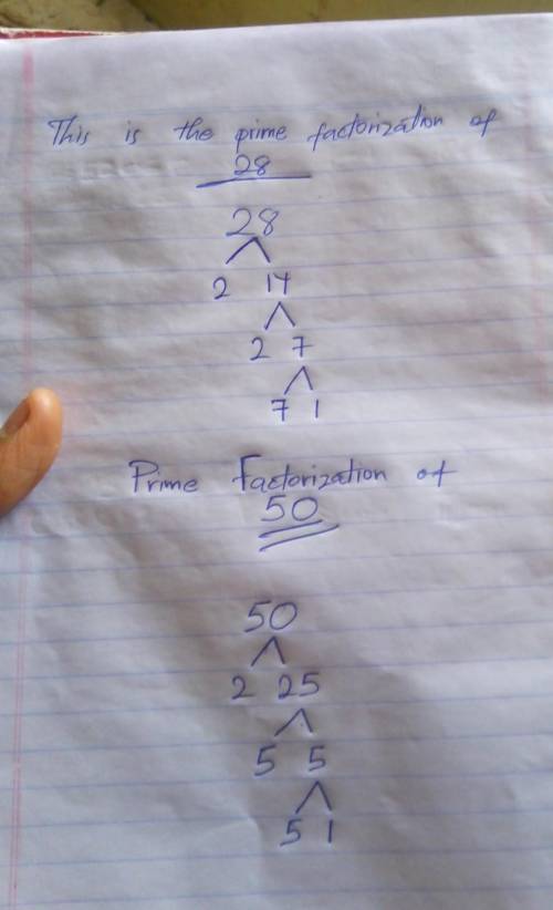 What is the prime factorization of 28 and 50?
Explain if possible.