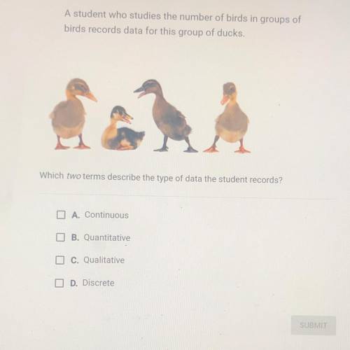 A student who studies the number of birds in groups of birds records data for this group of ducks.