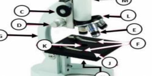 What part of the microscope is the letter k?