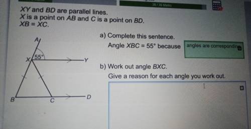 XY and BD are parallel lines. X is a point on AB and C is a point on BD. XB = XC. a) Complete this