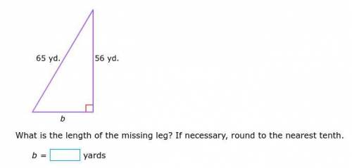 What is the length of the missing leg? If necessary, round to the nearest tenth.