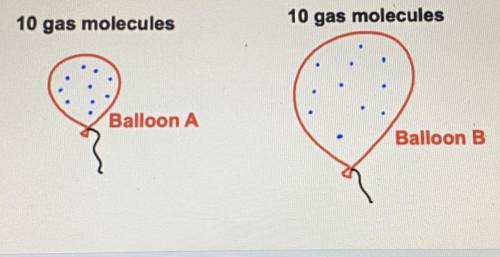 1. There are ten gas molecules in each balloon. Which balloon has a greater mass?

2. There are te