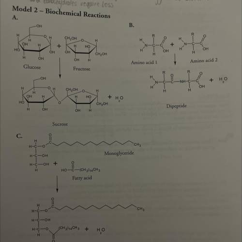 What are the reactants of reaction b?

when the two molecules in reaction b are joined together, w