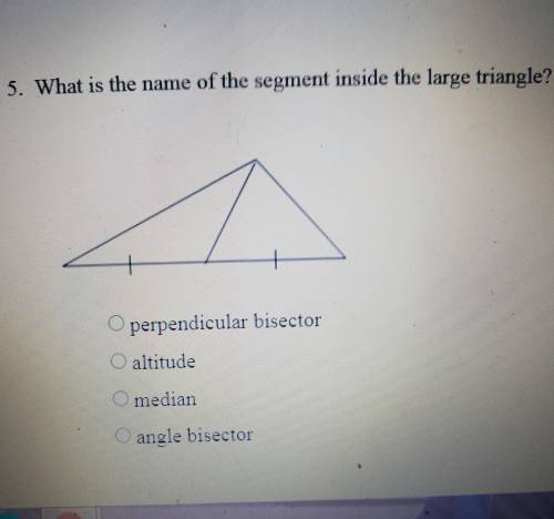 5. What is the name of the segment inside the large triangle?