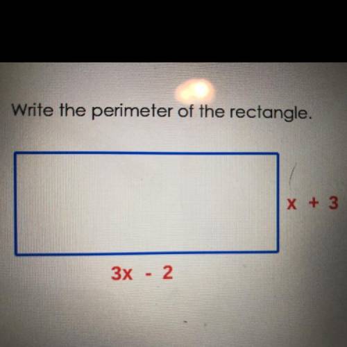 Write the perimeter of the rectangle.