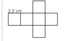 Find the total surface area of the cube