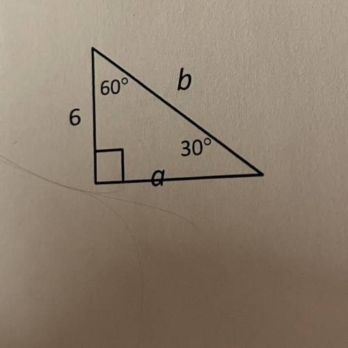 Special Right Triangle