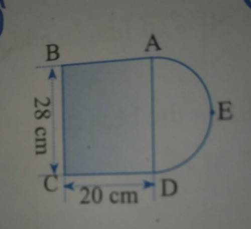 Find the perimeter and area of the following combined figure.