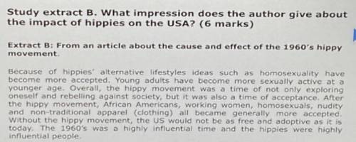 What impression is given about the hippies in the USA