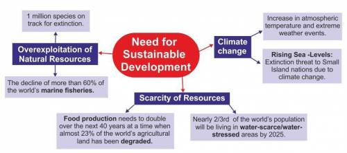 What are the needs of sustainable development?