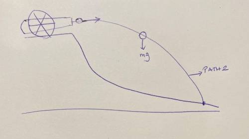 A ball is fired from a cannon from the top of a cliff as shown below. Which of the paths 1 - 5 would