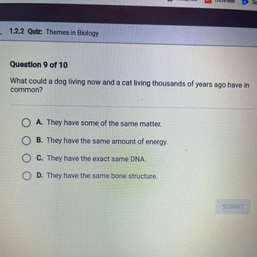 Question 9 of 10

What could a dog living now and a cat living thousands of years ago have in
comm