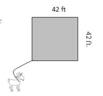 A square barn measures 42 feet on each side. A goat is tethered outside by a rope that is attached