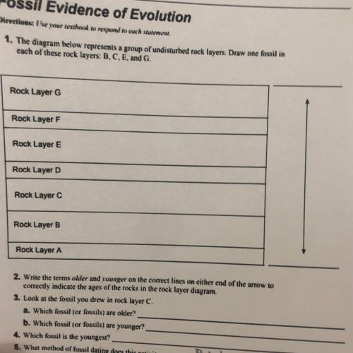 Fossil Evidence of Evolution

Directions: Use your textbook to respond to each statement
1. The di