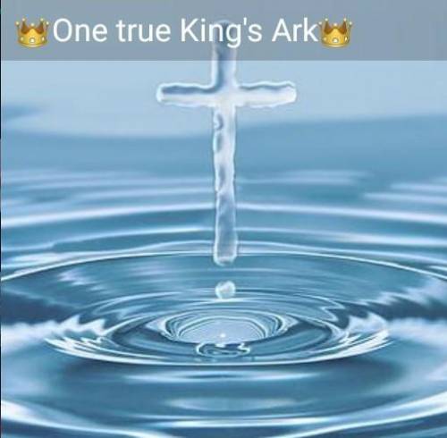 We've a whats.App Group called One true King's Ark. It is a christian group where we share gospel