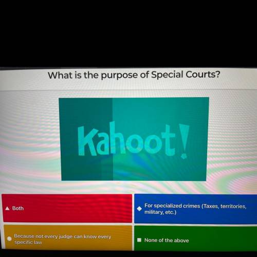 What is the purpose of special courts?