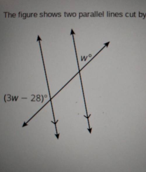 The figure shows two parallel lines cut by a transversal. What is the value of w? Use the number pa