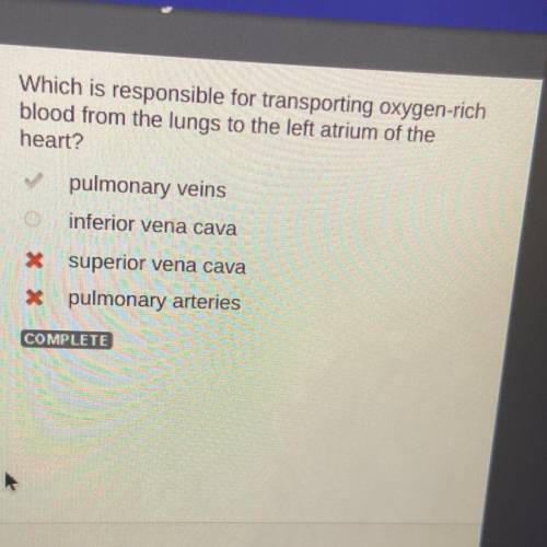 Which is responsible for transporting oxygen-rich

blood from the lungs to the left atrium of the