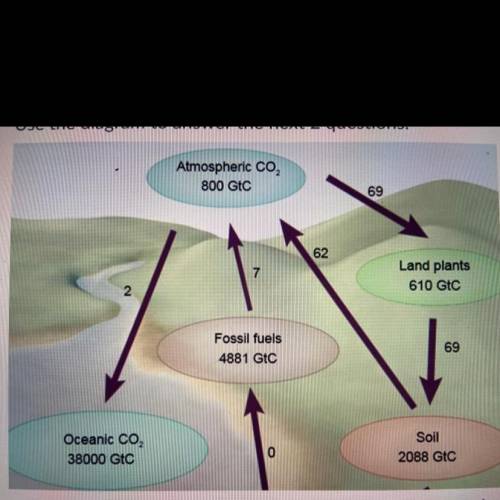 According to the diagram, where is atmospheric carbon absorbed?

A ) Ocean
B) Land Plants
C) Soil