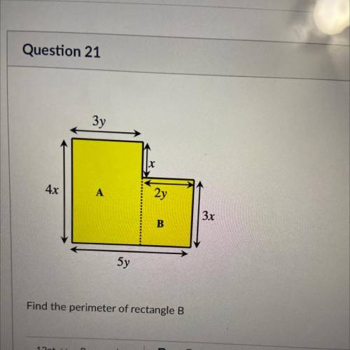 Find the perimeter of rectangle B