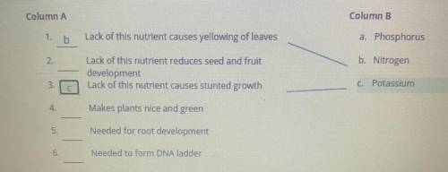 Match each soil nutrients to the correct description