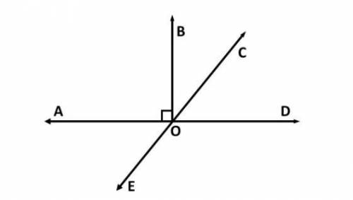 Which pair of angles are vertical angles?

(A) ∠AOE and ∠COE
(B) ∠AOD and ∠DOE
(C) ∠AOC and ∠DOE
(