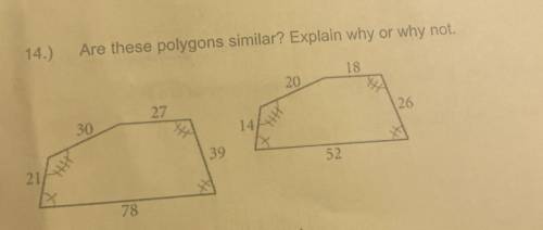 Are these polygons similar ? Explain why or why not.