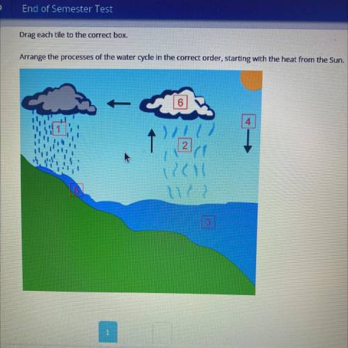 Drag each tile to the correct box.

Arrange the processes of the water cycle in the correct order,
