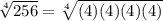 \sqrt[4]{256} = \sqrt[4]{(4)(4)(4)(4)}