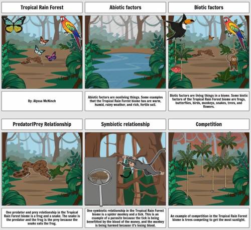 Describe how organisms in the tropical rainforest both depend on and compete for biotic and abiotic