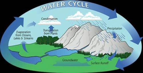 Correctly identify steps in the water cycle.