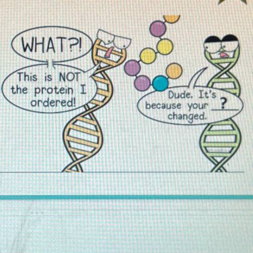 Which term belongs
in the blank in the
cartoon?
A. RNA
B. Protein
C. DNA