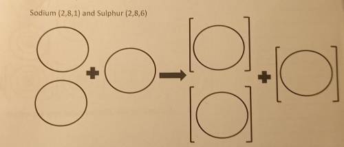Sodium (2,8,1) and Sulphur (2,8,6)