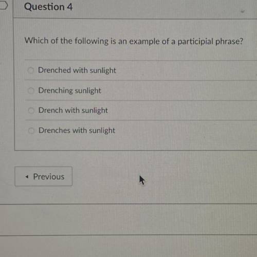 Which option is correct?
