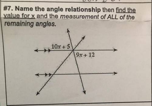 Please solve and put the measurements for all of the angles, the angle relationship is vertical

C