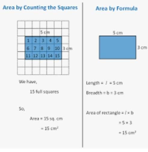 3. When calculating the area of a rectangle or square, what formula do you insert into the worksheet