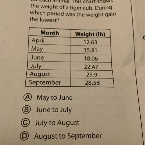 At the zoo, detailed records are kept for each animal. This chart shows the weight of a tiger cub.