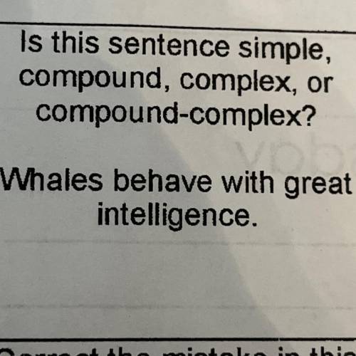 Is this sentence simple,

compound, complex, or
compound-complex?
Whales behave with great
intelli