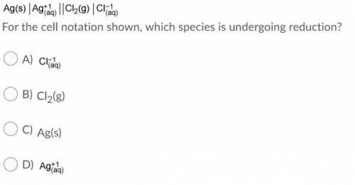 For the cell notation shown, which species is undergoing reduction?