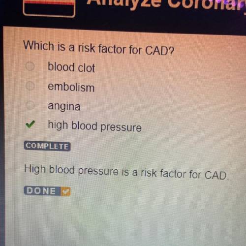 Which is a risk factor for CAD?
blood clot
embolism
angina
high blood pressure